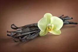 Queen PFM Special Orchid-Vanill (Орхидея с ванилью) 100 мл